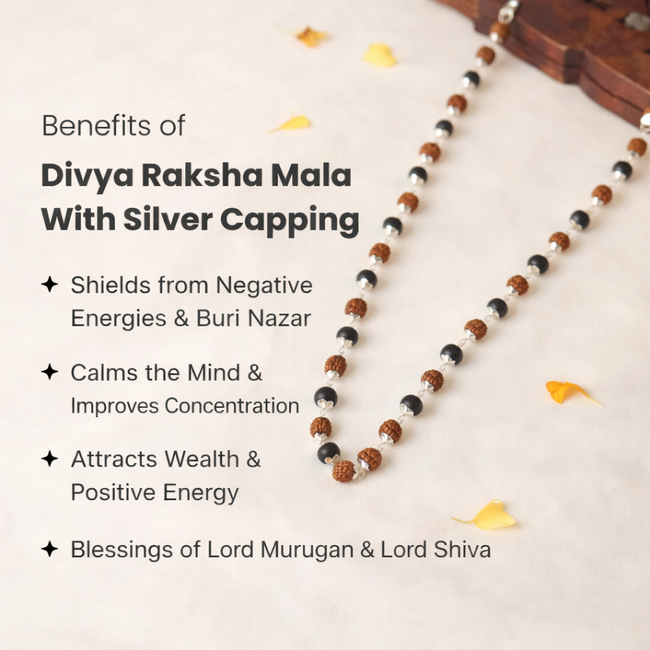 Divya Raksha Rudraksha & Karungali Mala (Silver Capped) Main Image