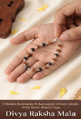 Divya Raksha Rudraksha & Karungali Mala (Silver Capped) Hover Image